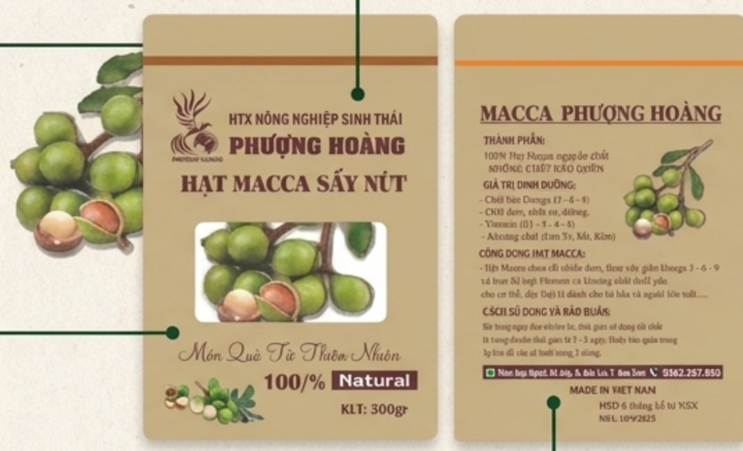 Bao bì Hạt Macca Sấy Nứt - HTX Phượng Hoàng