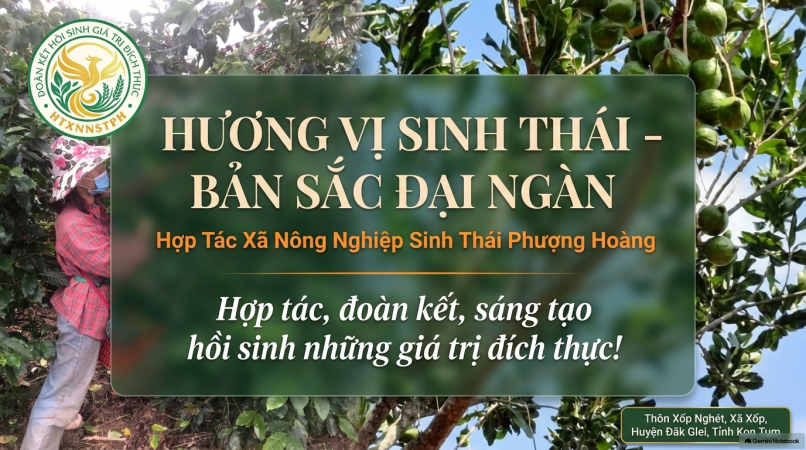 Slider Image 1